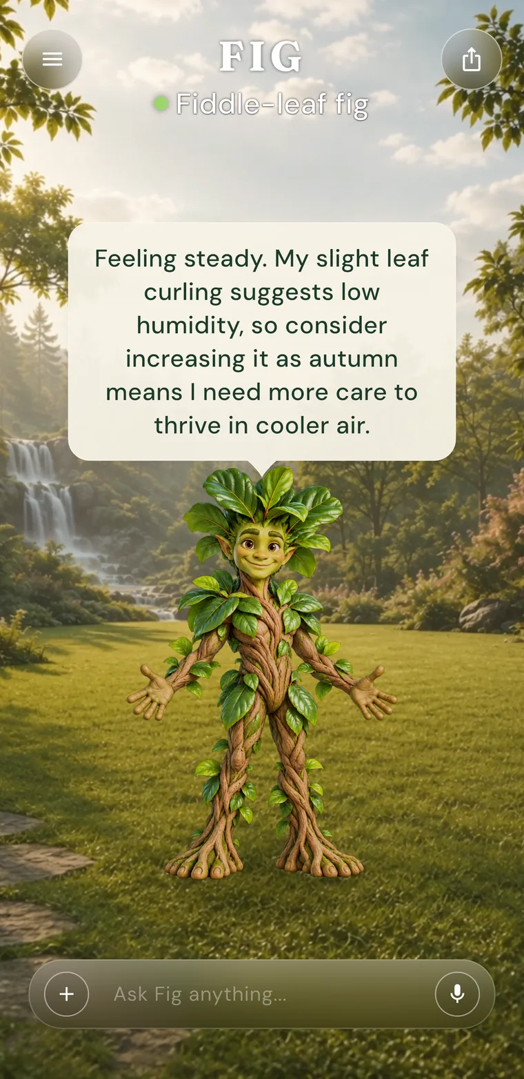 Fig, a Woody Tree Plantling, noticing slight leaf curling and suggesting more humidity for autumn